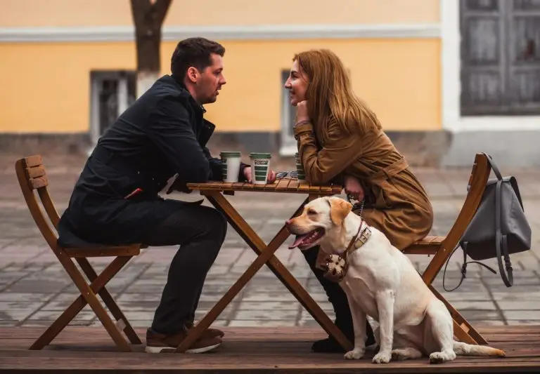 dating on the street near the cafe, walking the dog